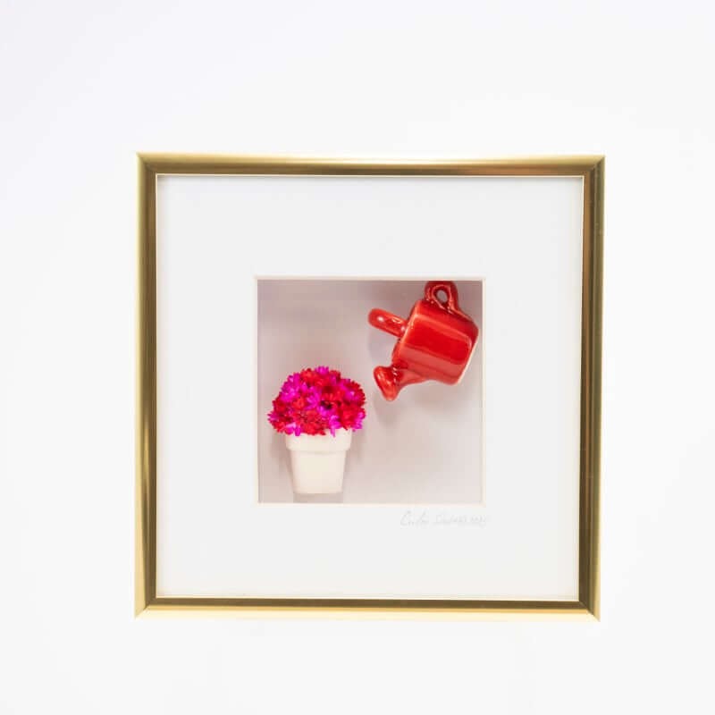 6x6 Shadowbox with Red Watering Can & Flowerpot