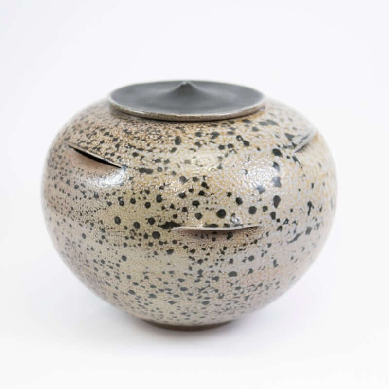 Speckled Onion Jar at PINCH