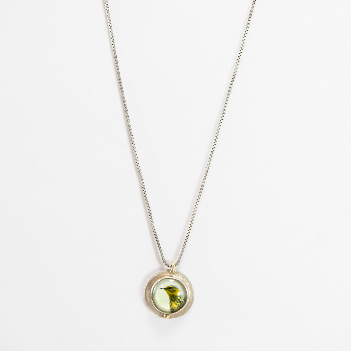 Warbler Photography Pendant with 14K Accent at PINCH