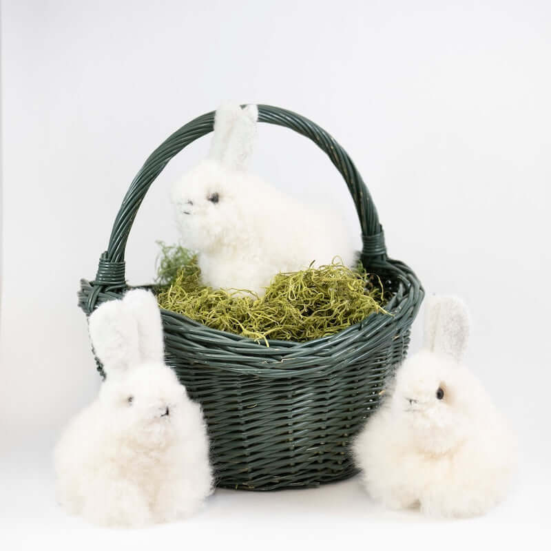 Alpaca Bunny - 6" at PINCH