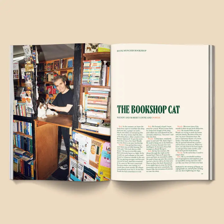 Catnip Magazine Volume 2