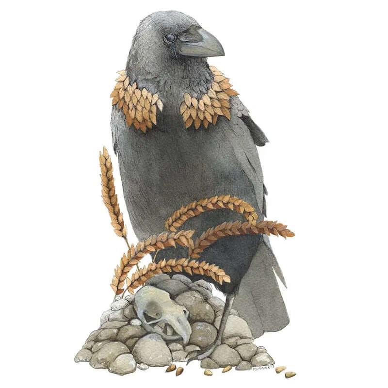 Crow and the Wheat 5x7 Print from Polanshek of the Hills at Pinch in Northampton, MA