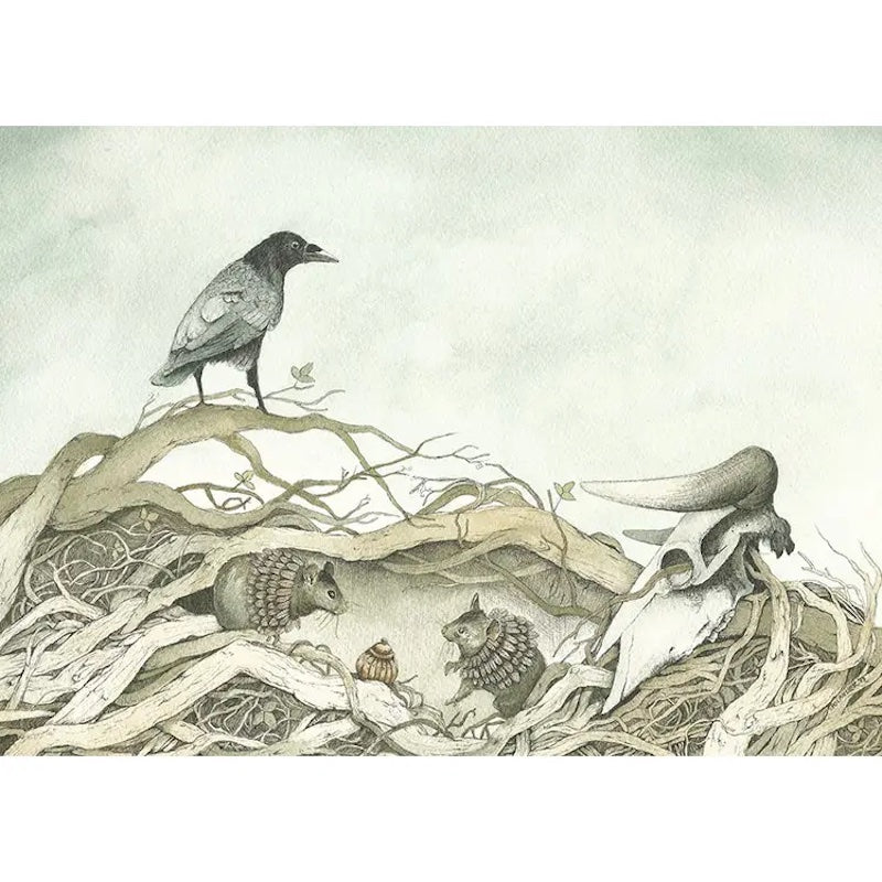 Print 8x10 The Artifact from Polanshek of the Hills at Pinch in Northampton, MA