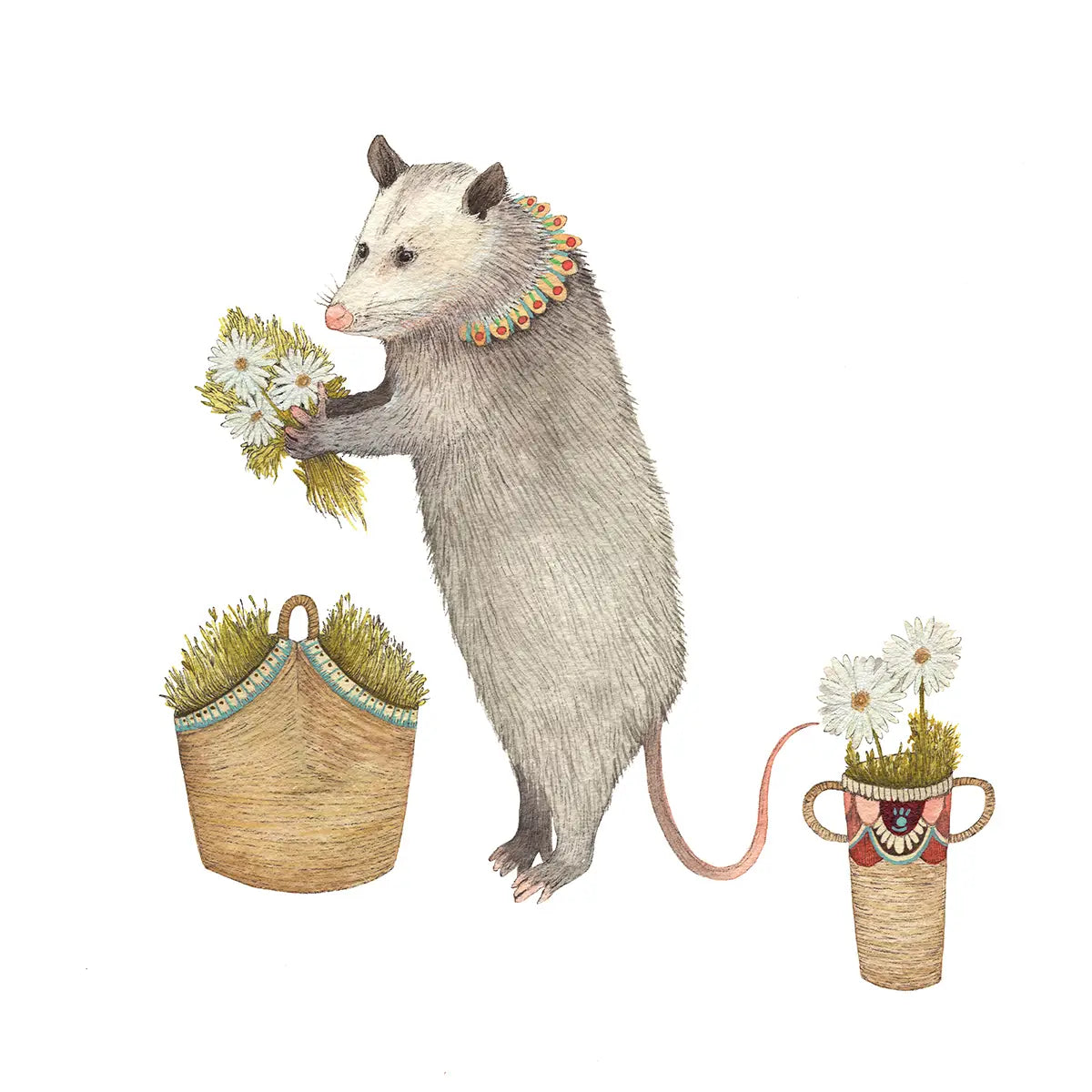 Flower Messenger: The Opossum 8x10 Print from Polanshek of the Hills at Pinch in Northampton, MA