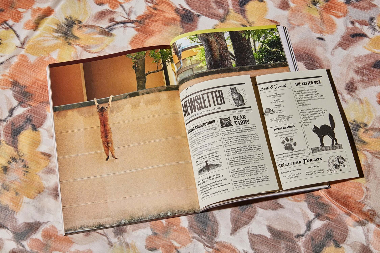 Catnip Magazine at PINCH