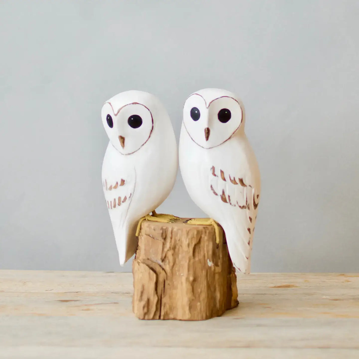Pair of Baby Barn Owlets - 8" at PINCH