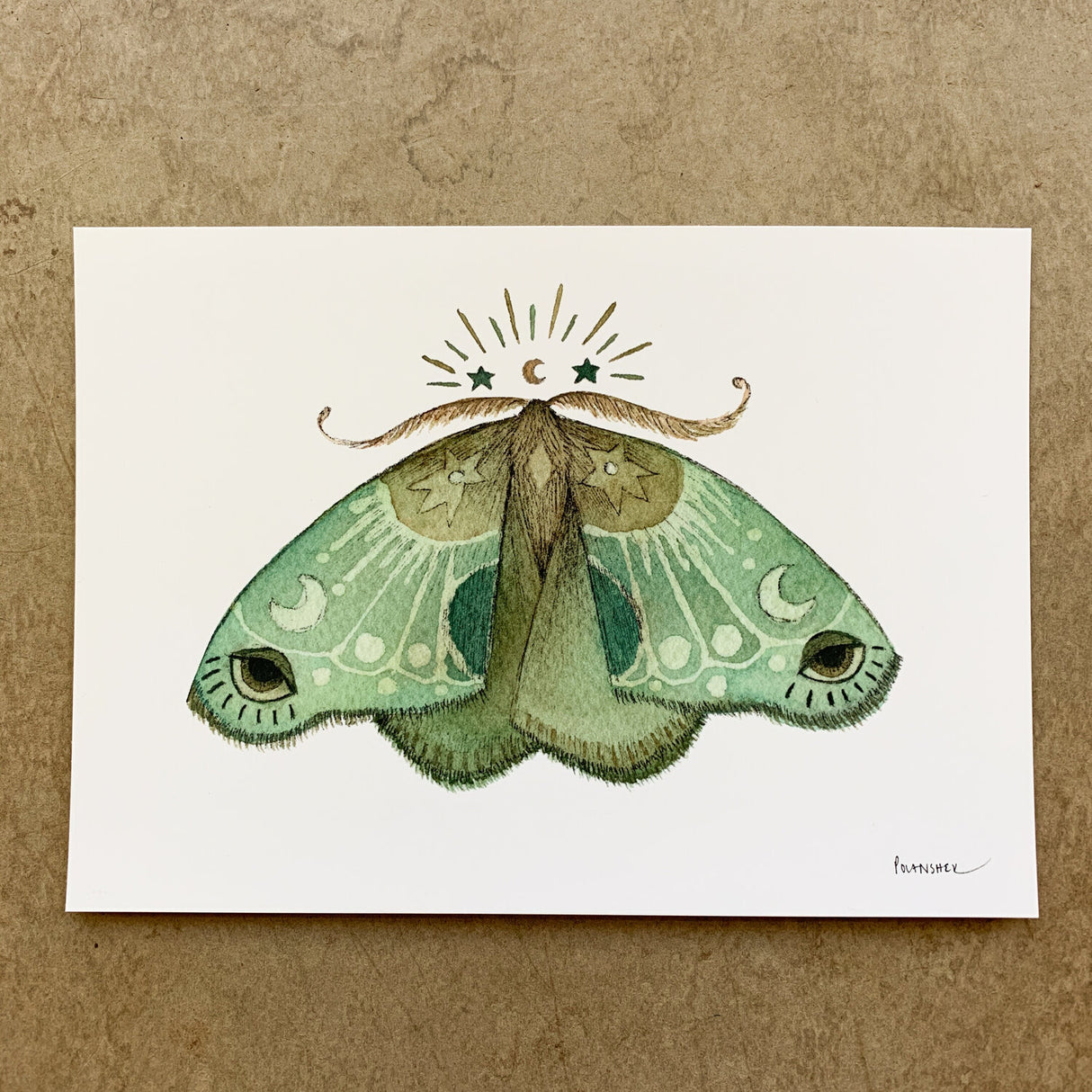 Astral Moth 5x7 Print from Polanshek of the Hills at Pinch in Northampton, MA