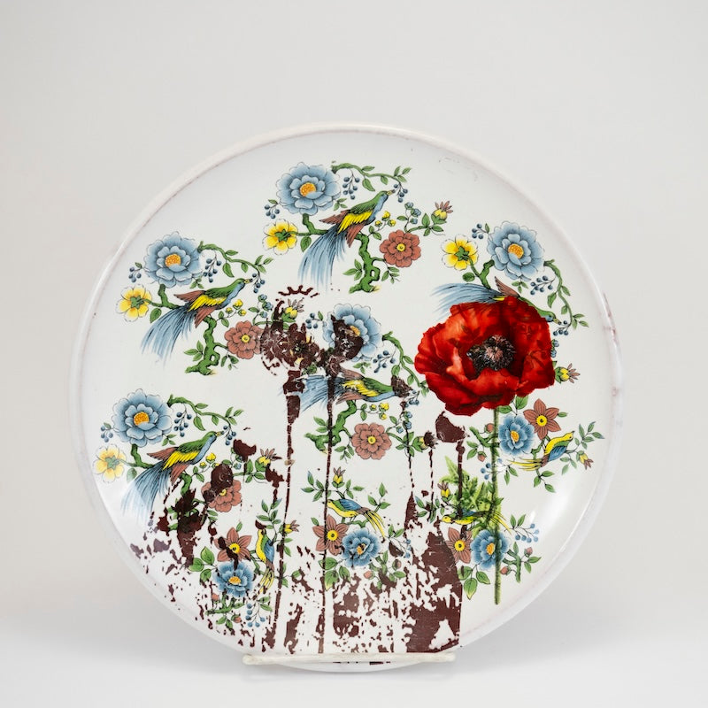 Floral Plate from Justin Rothshank at Pinch in Northampton, MA