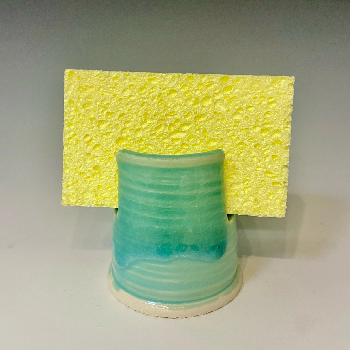 Sponge Holder in Seafoam