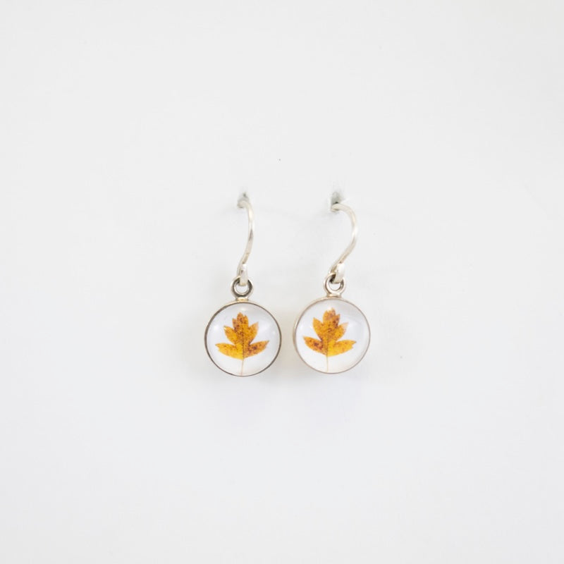 Earrings Golden Leaf in Sterling Silver from Jen Smith at Pinch in Northampton, MA