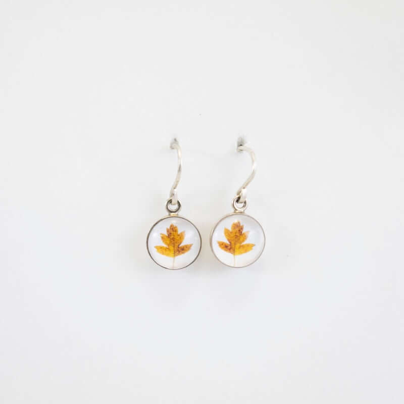 Earrings Golden Leaf in Sterling Silver from Jen Smith at Pinch in Northampton, MA