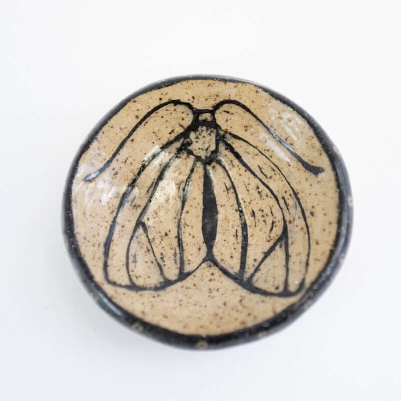 Round Moth Dish from Hillary Wilbur Ferro at Pinch in Northampton, MA
