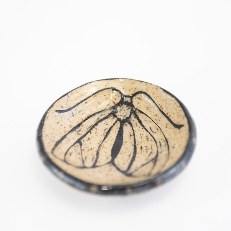 Round Moth Dish from Hillary Wilbur Ferro at Pinch in Northampton, MA