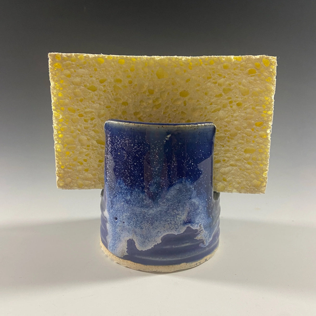 Sponge Holder in Lapis