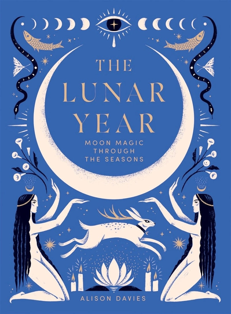 The Lunar Year from Chronicle Books at Pinch in Northampton, MA