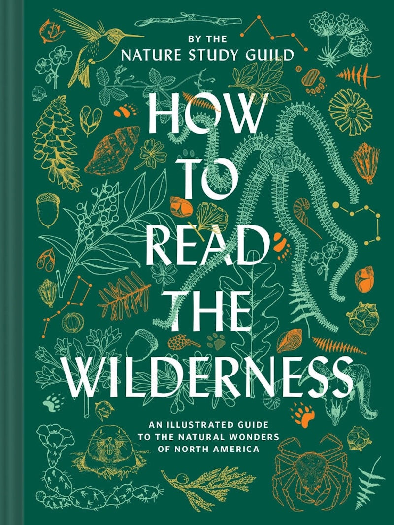 How To Read the Wilderness from Chronicle Books at Pinch in Northampton, MA