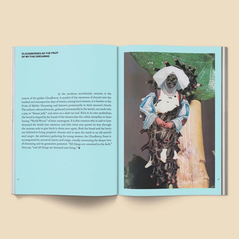 Fruit of Mythic Dreaming: Imagined Folklore Book from Broccoli at Pinch in Northampton, MA