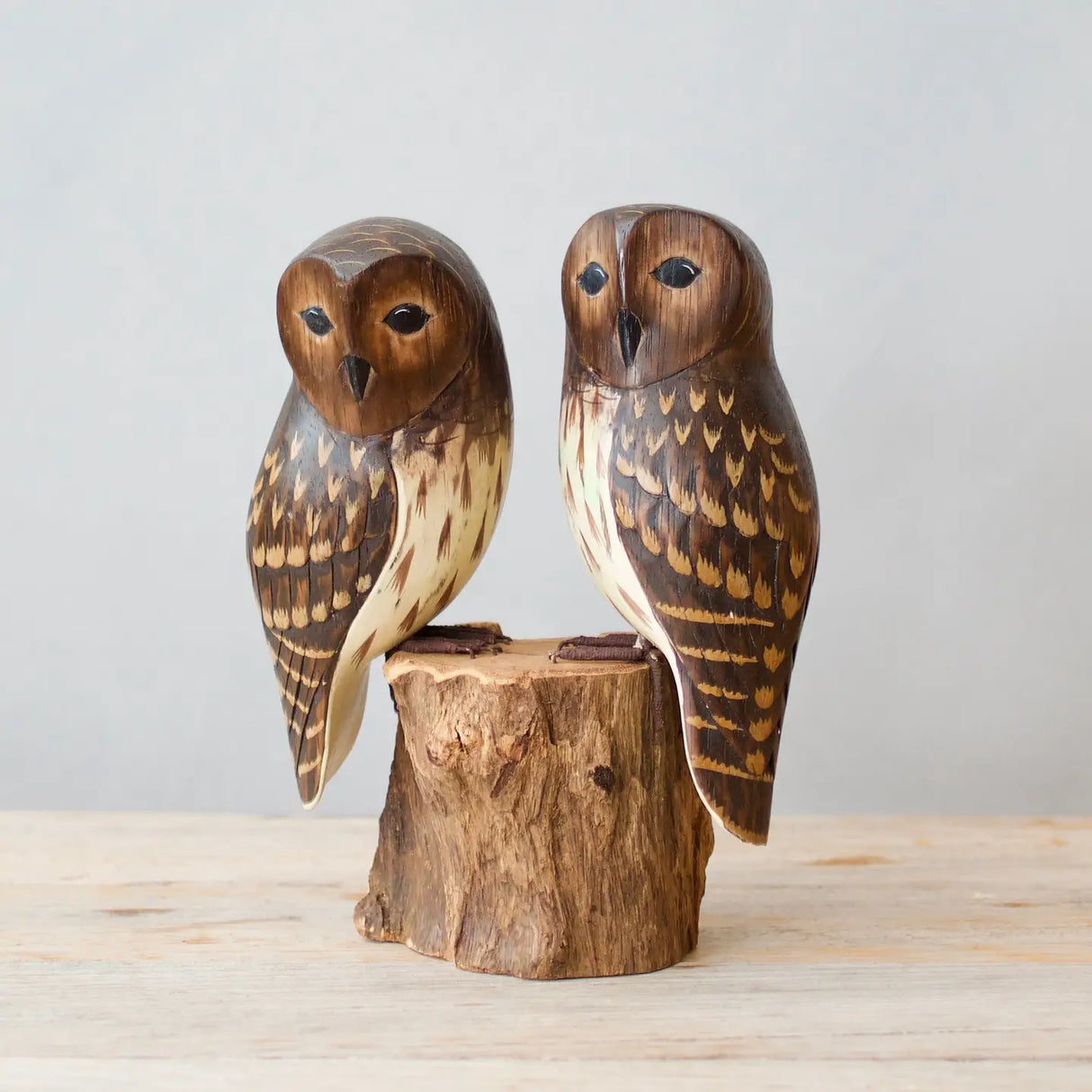 Pair of Barred Owls 8" from Aviologie at Pinch in Northampton, MA