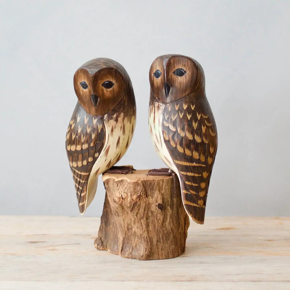 Pair of Barred Owls 8" at PINCH