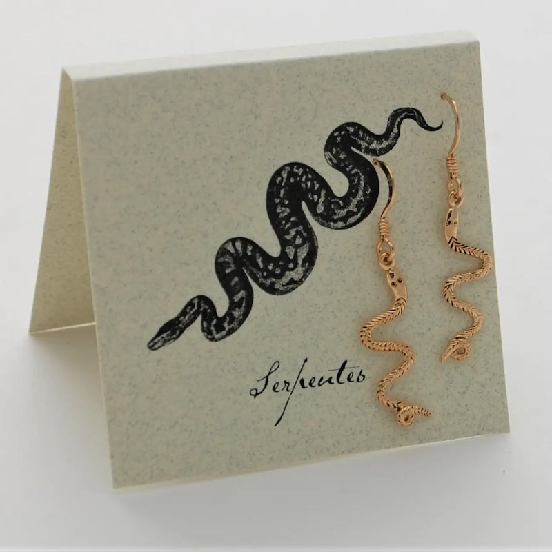 Snake Earrings with French Wire in 14k Gold Fill from semaki & bird at Pinch in Northampton, MA