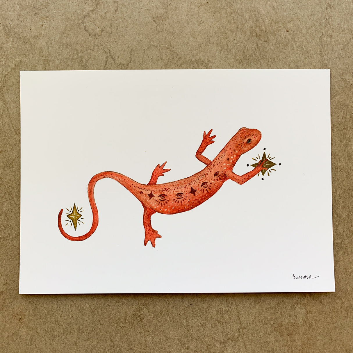 Astral Red Eft 5x7 Print from Polanshek of the Hills at Pinch in Northampton, MA