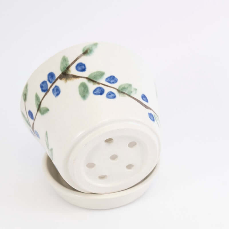 Berry Bowl with Blueberries