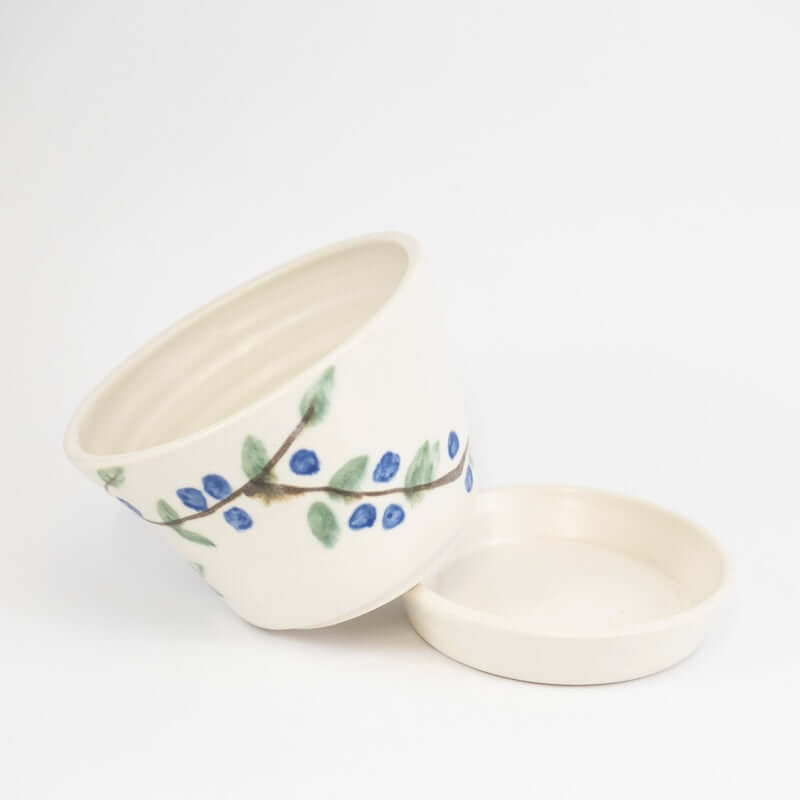 Berry Bowl with Blueberries