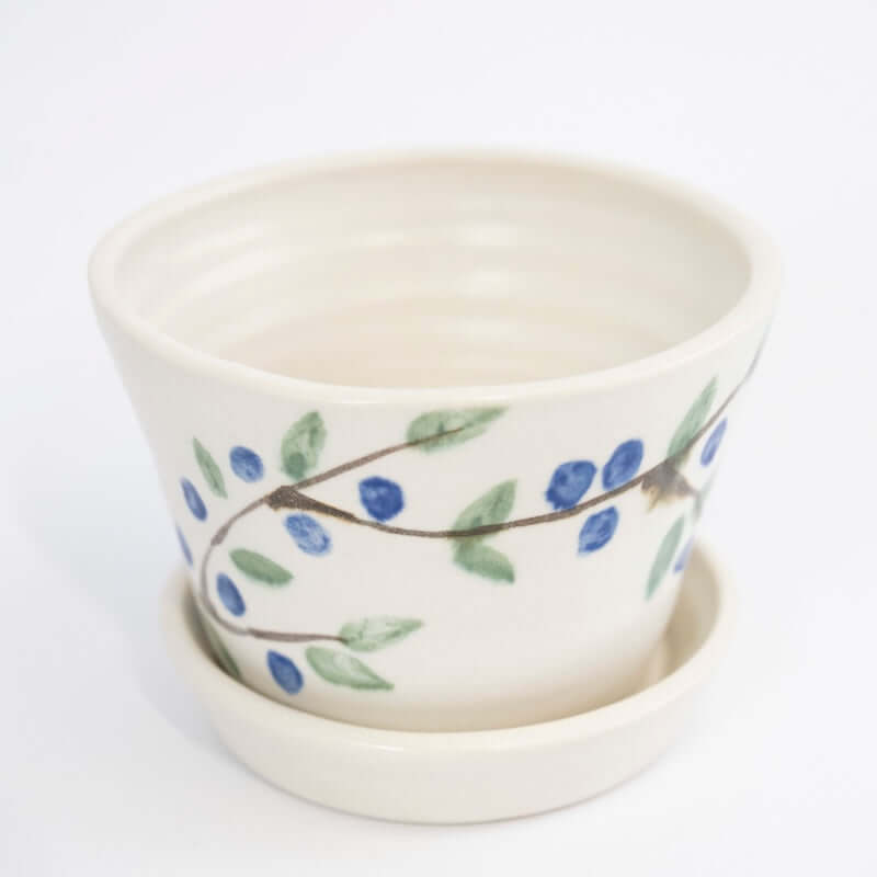 Berry Bowl with Blueberries