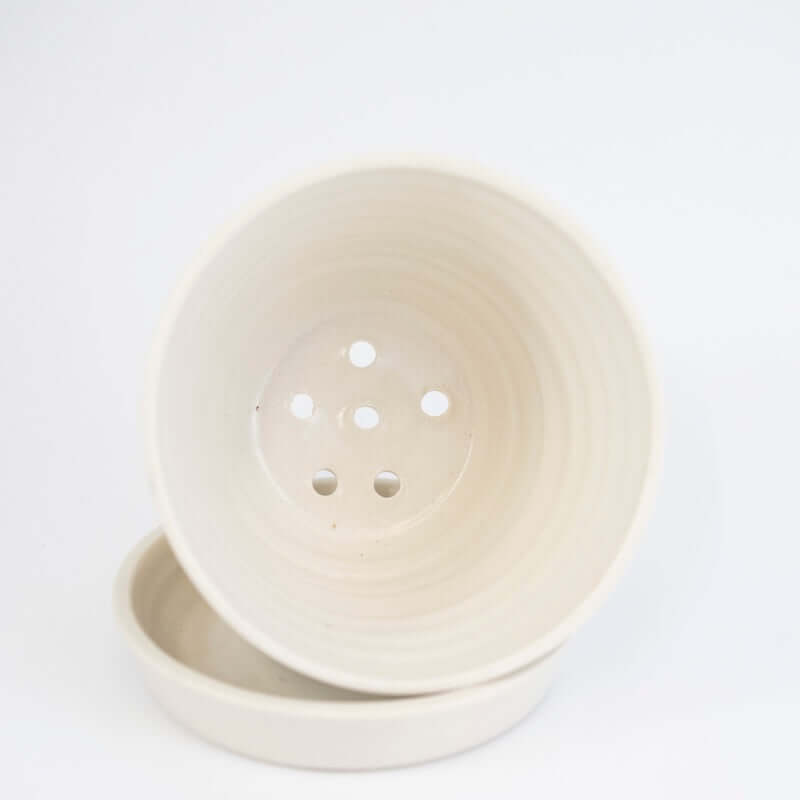 Berry Bowl with Cherries