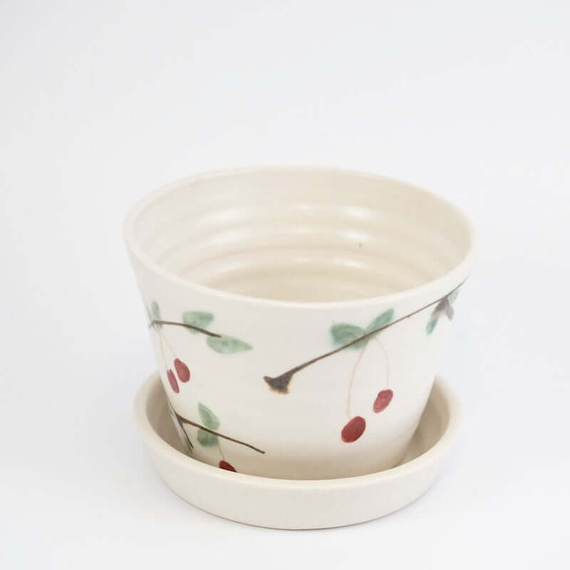 Berry Bowl with Cherries