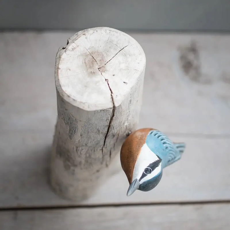 Nuthatch 8"H from Aviologie at Pinch in Northampton, MA