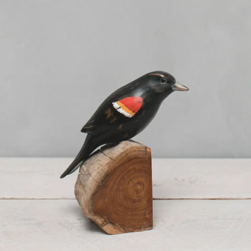 Red-Winged Blackbird in Wood at PINCH