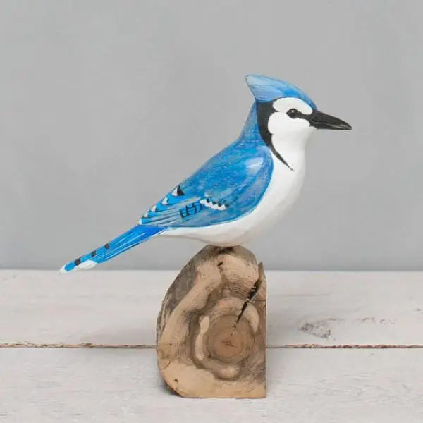 Blue Jay in Wood at PINCH