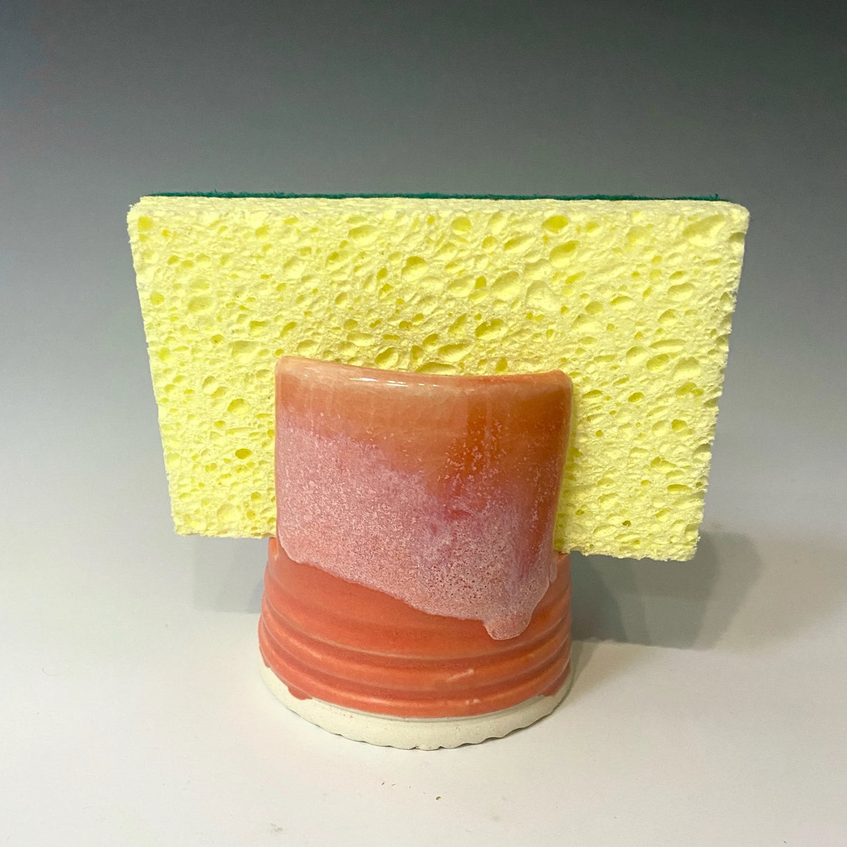 Sponge Holder in Coral