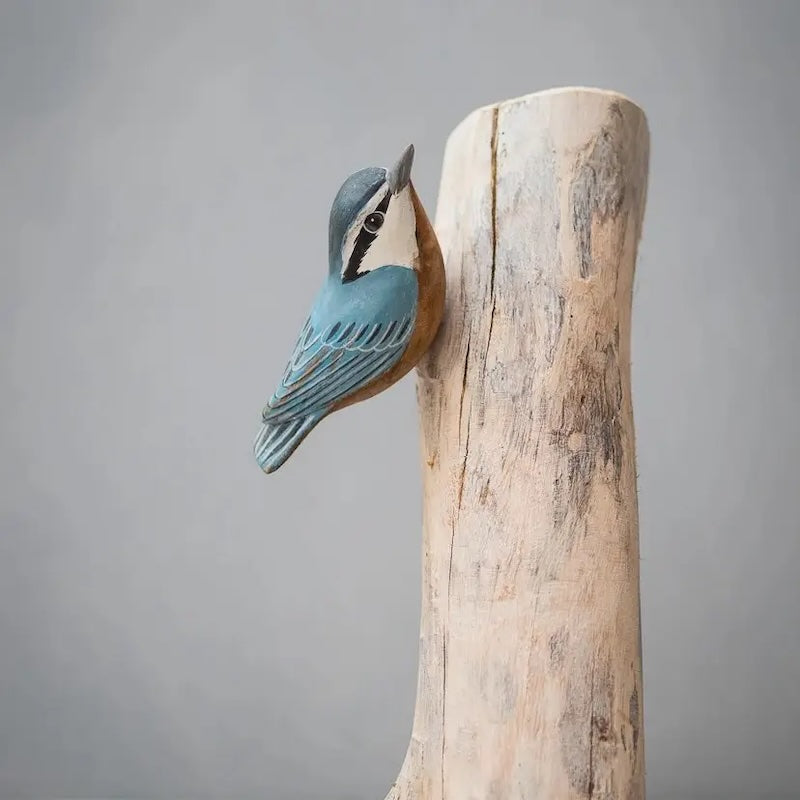 Nuthatch 8"H from Aviologie at Pinch in Northampton, MA