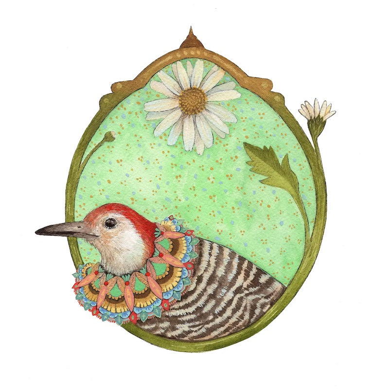 Floral Flight Crew: Woodpecker of Dasies 8x10 Print from Polanshek of the Hills at Pinch in Northampton, MA