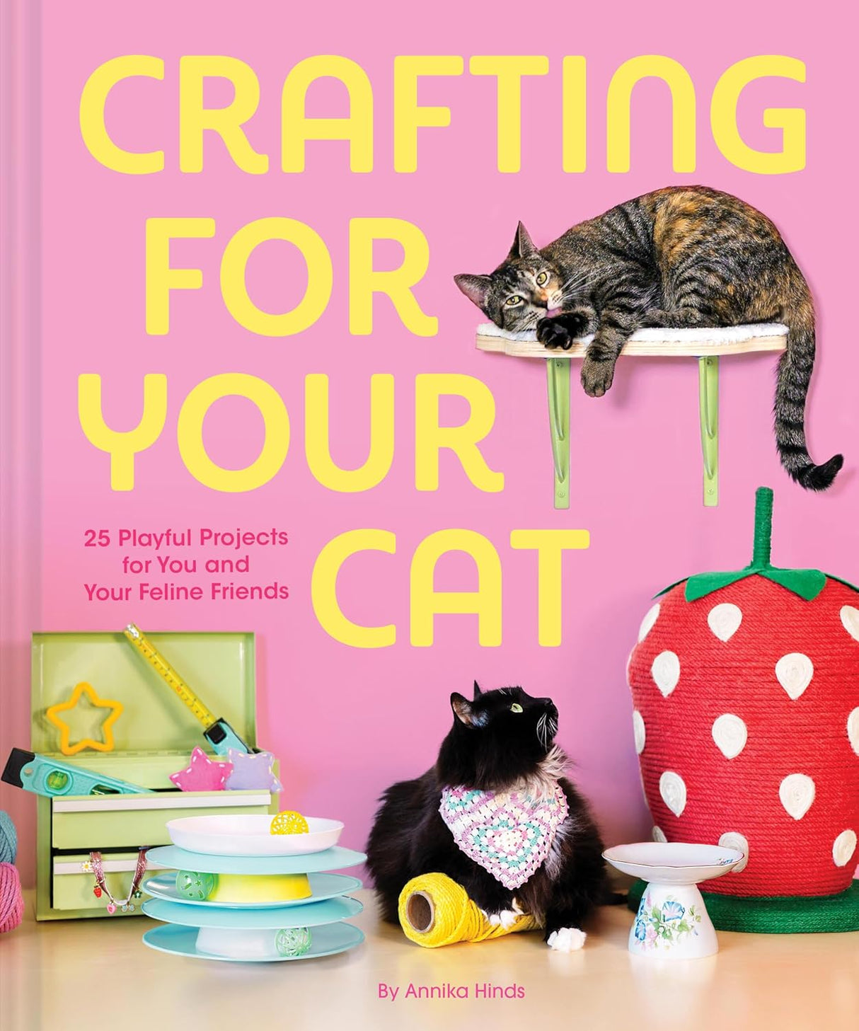 Crafting For Your Cat
