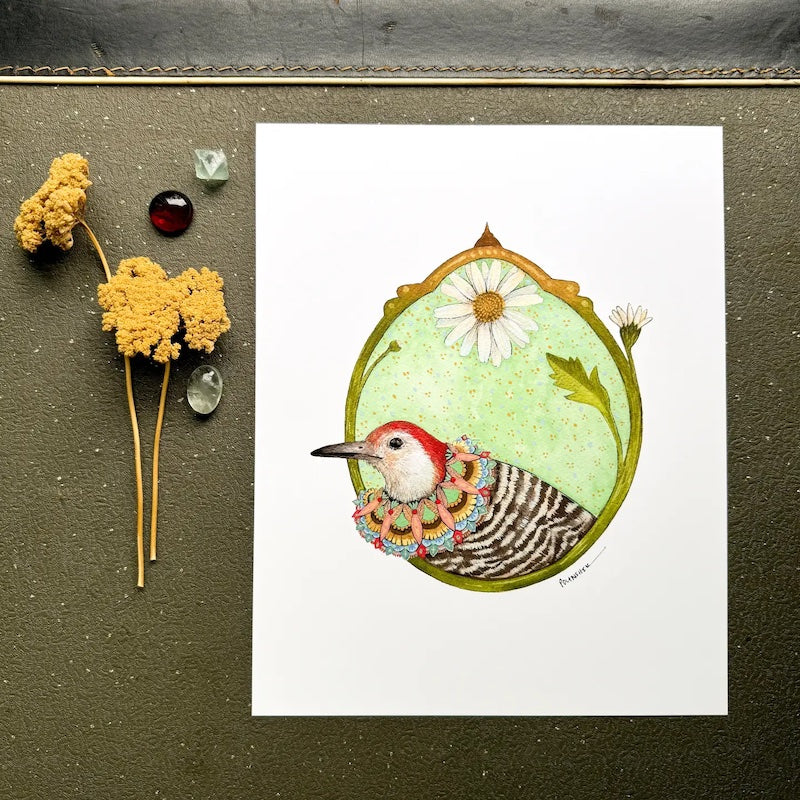 Floral Flight Crew: Woodpecker of Dasies 8x10 Print from Polanshek of the Hills at Pinch in Northampton, MA