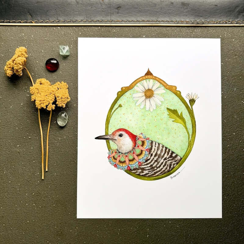 Floral Flight Crew: Woodpecker of Dasies 8x10 Print from Polanshek of the Hills at Pinch in Northampton, MA