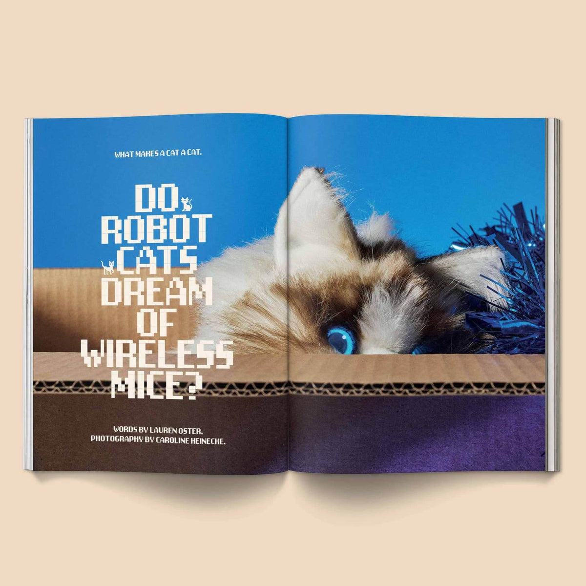 Catnip Magazine at PINCH