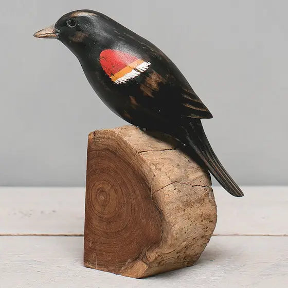 Red-Winged Blackbird in Wood at PINCH