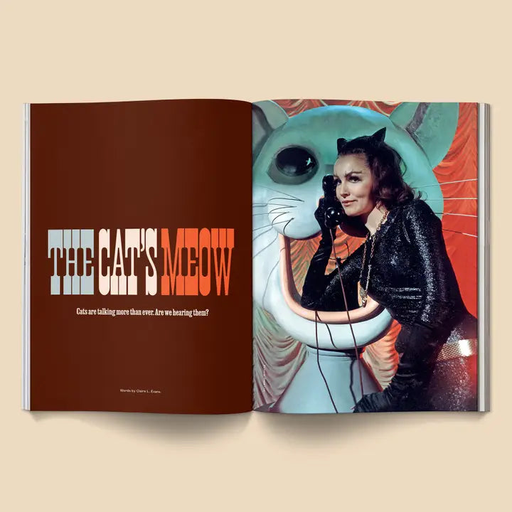 Catnip Magazine Volume 2