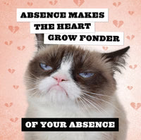 2026 Grumpy Cat Calendar from Chronicle Books at Pinch in Northampton, MA