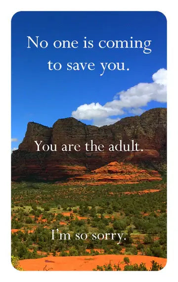 Disappointing Affirmations Card Deck from Chronicle Books at Pinch in Northampton, MA