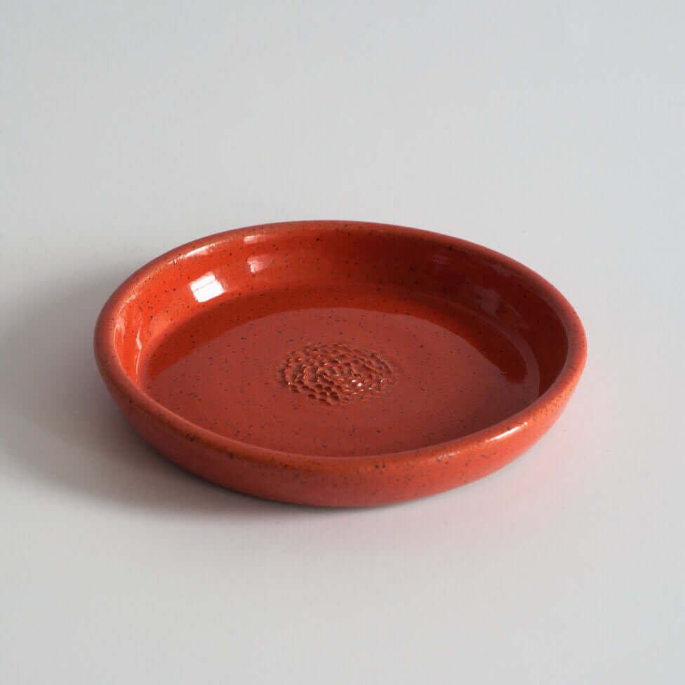 Garlic Scraper in Coral at PINCH