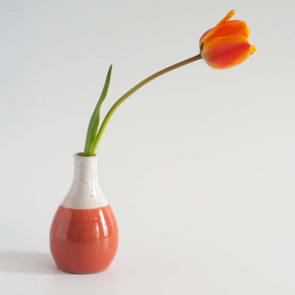 Small Vase in Coral at PINCH
