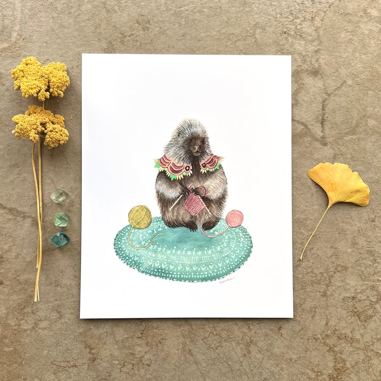 Padma's Knitting 8x10 Print from Polanshek of the Hills at Pinch in Northampton, MA