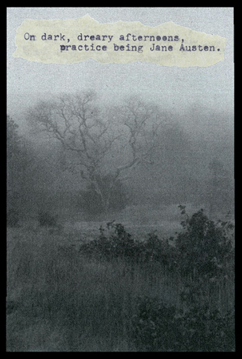 Jane Austen Story Picture from Diane Hanna/Stoneheart at Pinch in Northampton, MA