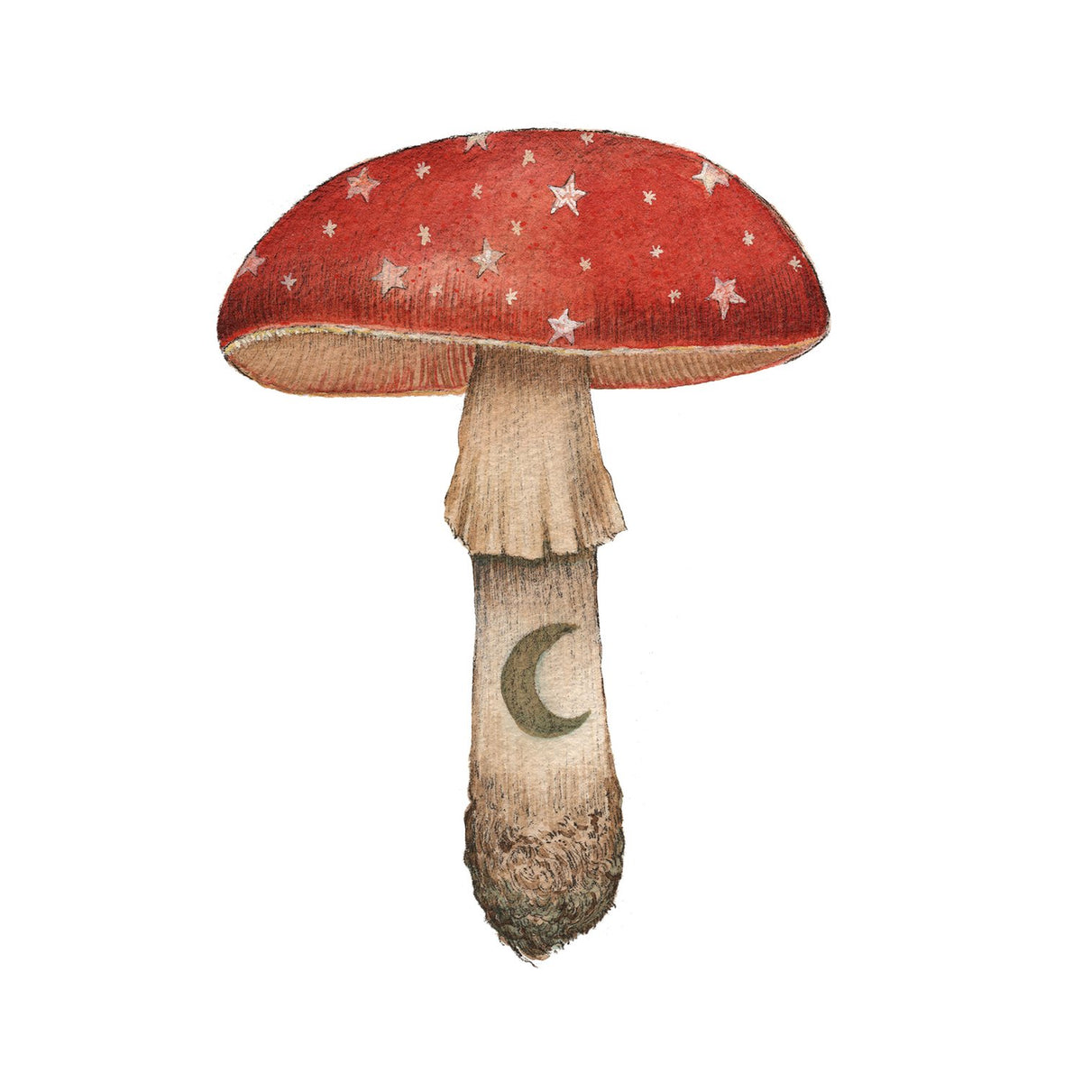 Mineral Mushroom: Ruby Print 5x7 at PINCH