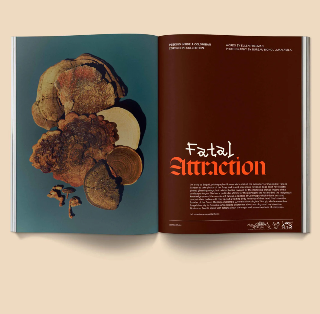 Mushroom People Magazine: Volume 2 from Broccoli at Pinch in Northampton, MA